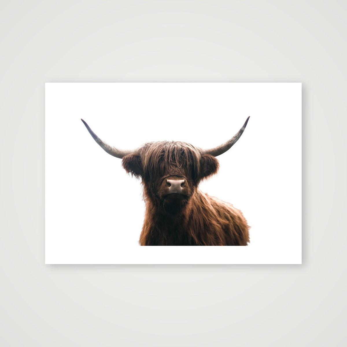 1331 — A4 (30×21cm, 12×8") Print only