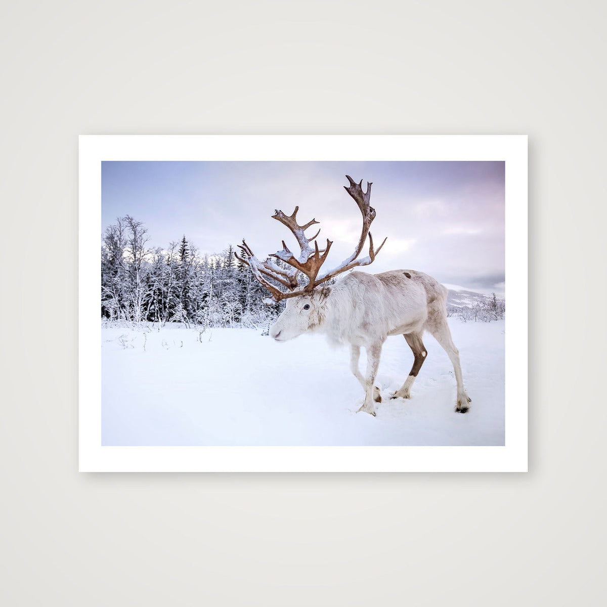 63 — 80×60cm, 31×24" Print only