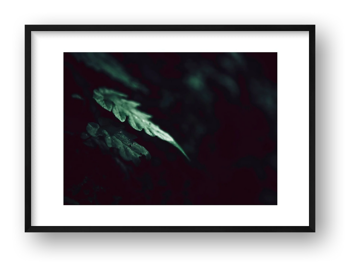 1128 — framed