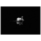 f0b6b16d-e00c-47cf-96df-8453964c6456