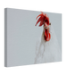 f0e81d77-55bd-4478-9b0d-3d99d3b77b07
