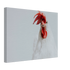 f0e81d77-55bd-4478-9b0d-3d99d3b77b07