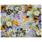 f1e3e2b4-cc31-4d4a-b373-4f38fc78febe