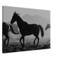 f3126445-2d42-4bc0-b839-0775b1a66846