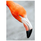 f342dbf6-ea7d-4569-b773-1b9172092389