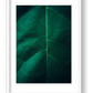 11 — framed