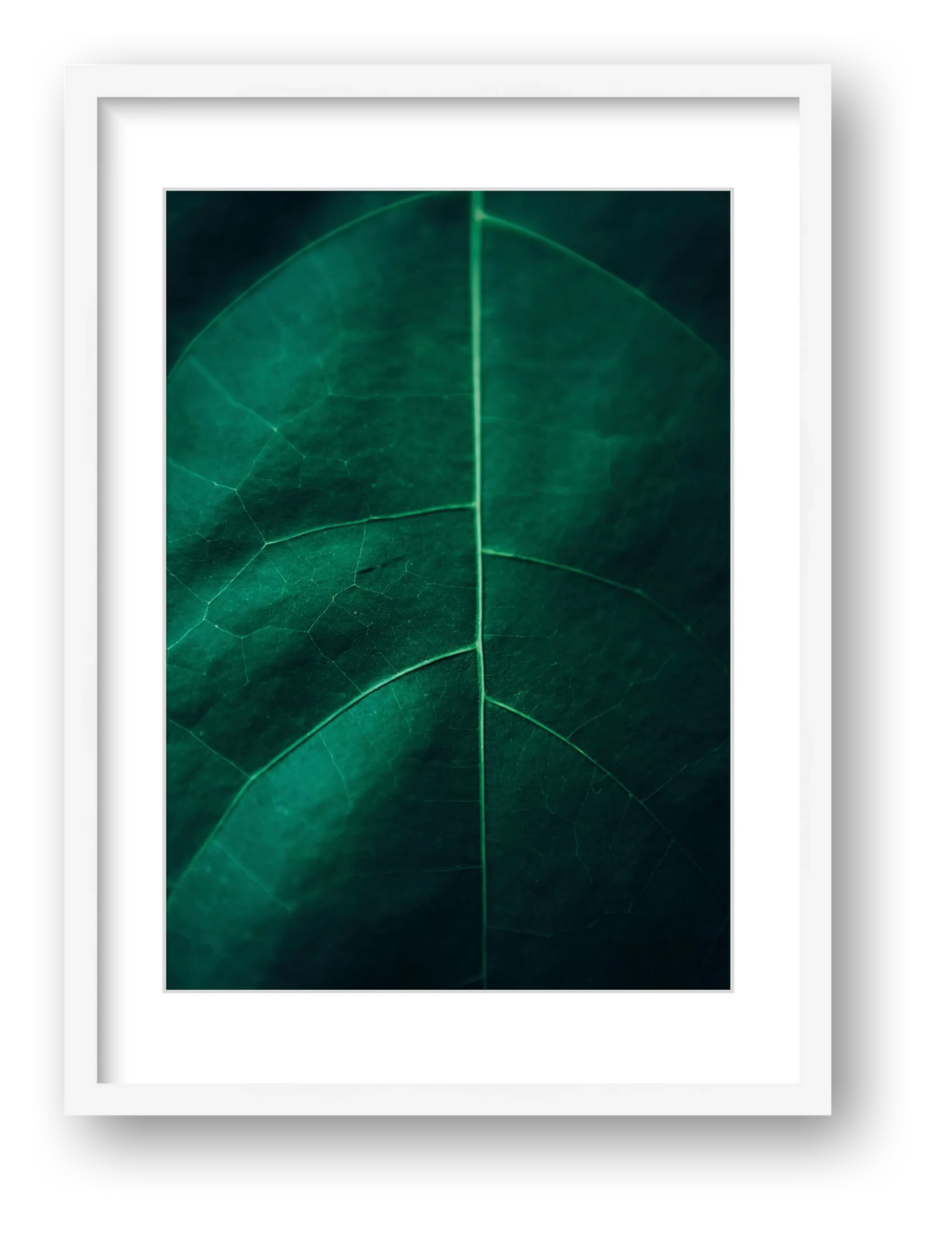 11 — framed