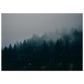 f4f74f5c-7d00-44bb-add7-c59746f5b7ba