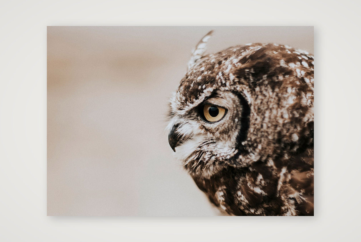 486 — 59×42cm, 23×17" Print only