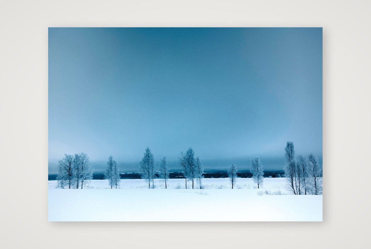 448 — A3 (42×30cm, 17×12") Print only