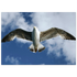 f5bddcae-1116-40f4-9a64-93f8c8061ae8