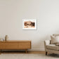 447 — A4 (30×21cm, 12×8") White Frame