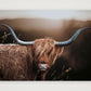 1590 — A4 (30×21cm, 12×8") Print only