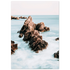 f7e3ab98-6aa7-43f7-b2d1-9e2d9099216b