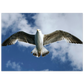 f8bd0f9e-05a3-4fad-b147-0a6c573708c9