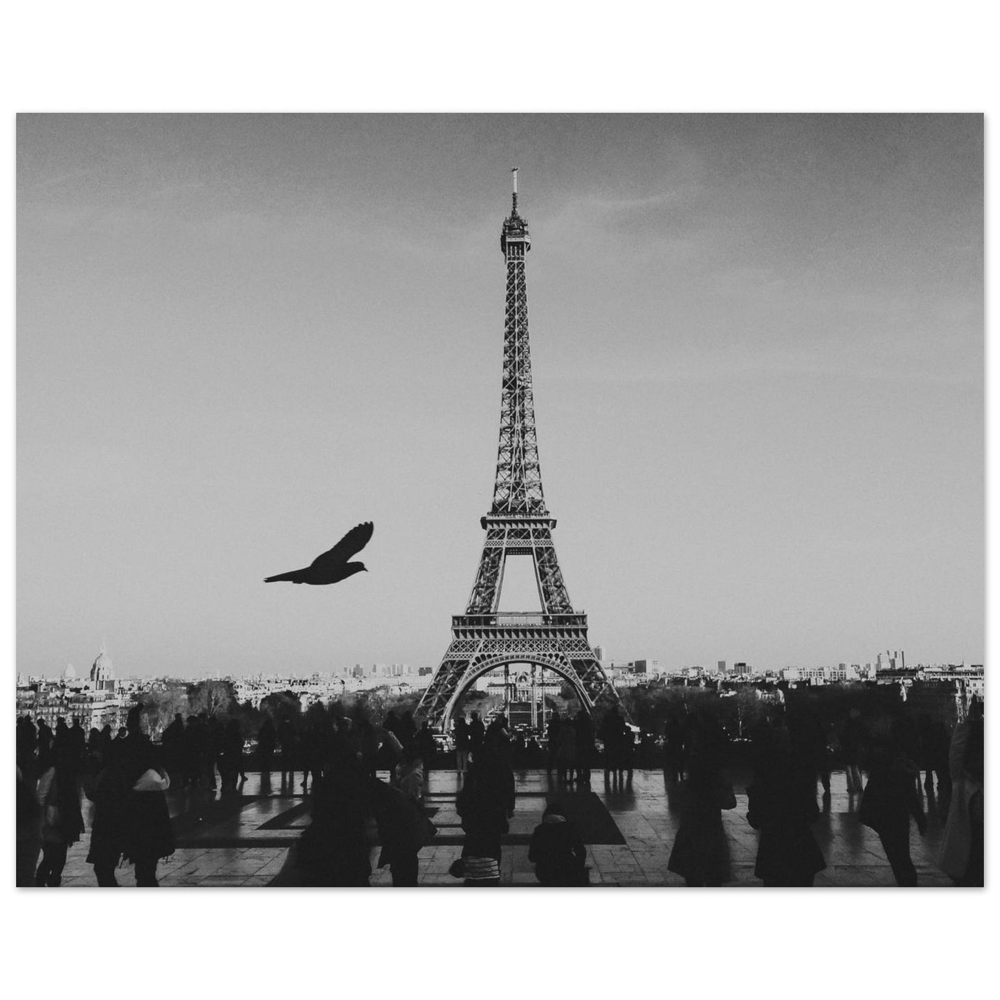f98d228c-1f37-4d39-8165-bcfd716c1206