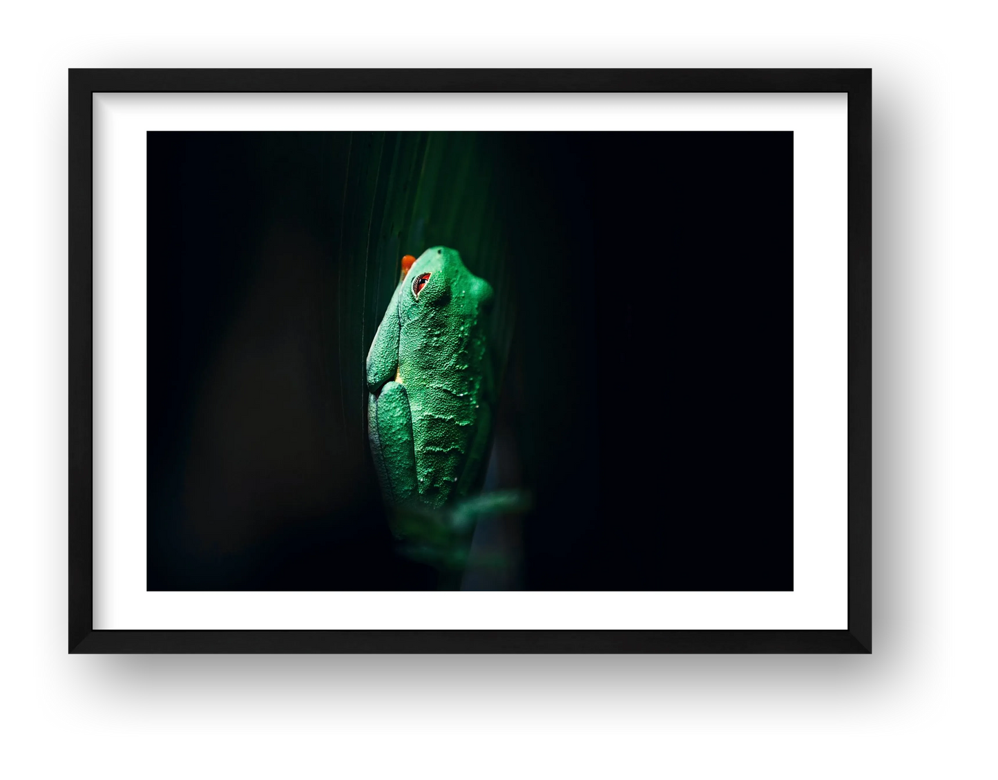 498 — framed