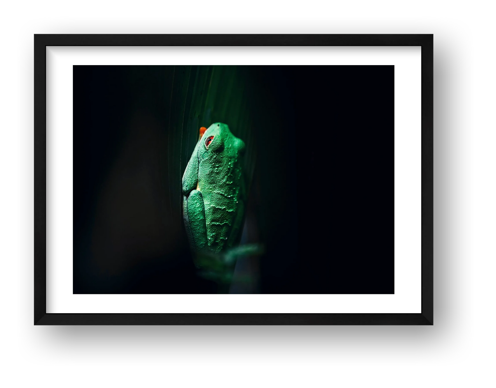 498 — framed