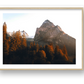 129 — framed