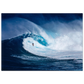 fb9b0a19-698b-4188-b4f1-8251df44e5a4