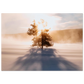 fc9e0e98-2070-4c29-a317-9649ed2e2185