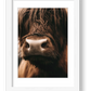 1585  — framed
