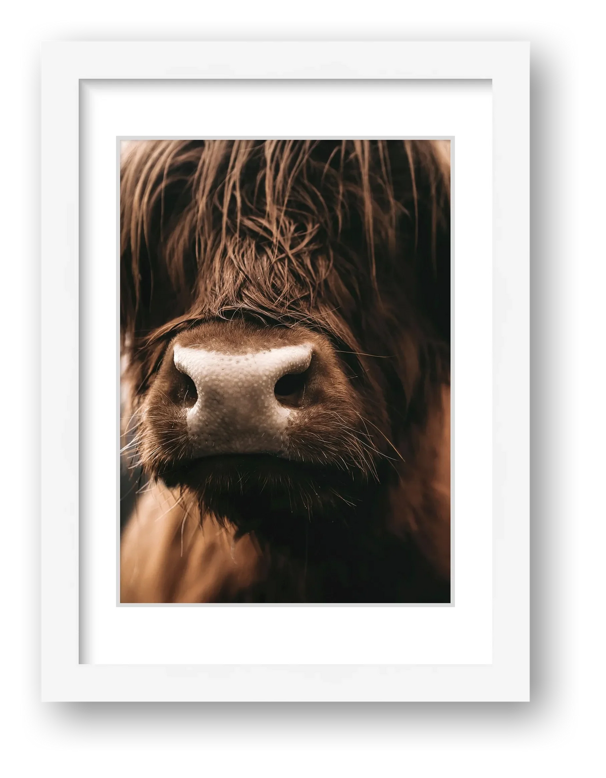1585  — framed