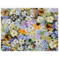 Spring meadow botanical flowers #PD_332 acrylic print display view 2