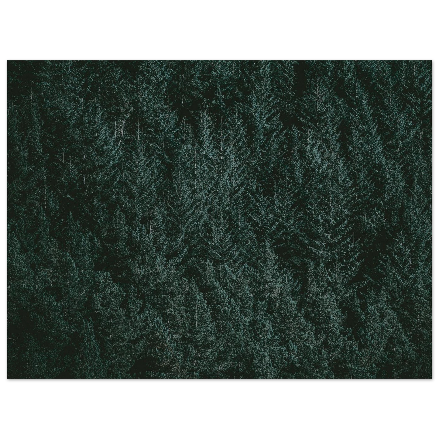 ff2d9e45-3d56-4f60-b837-bc536f0a2f98