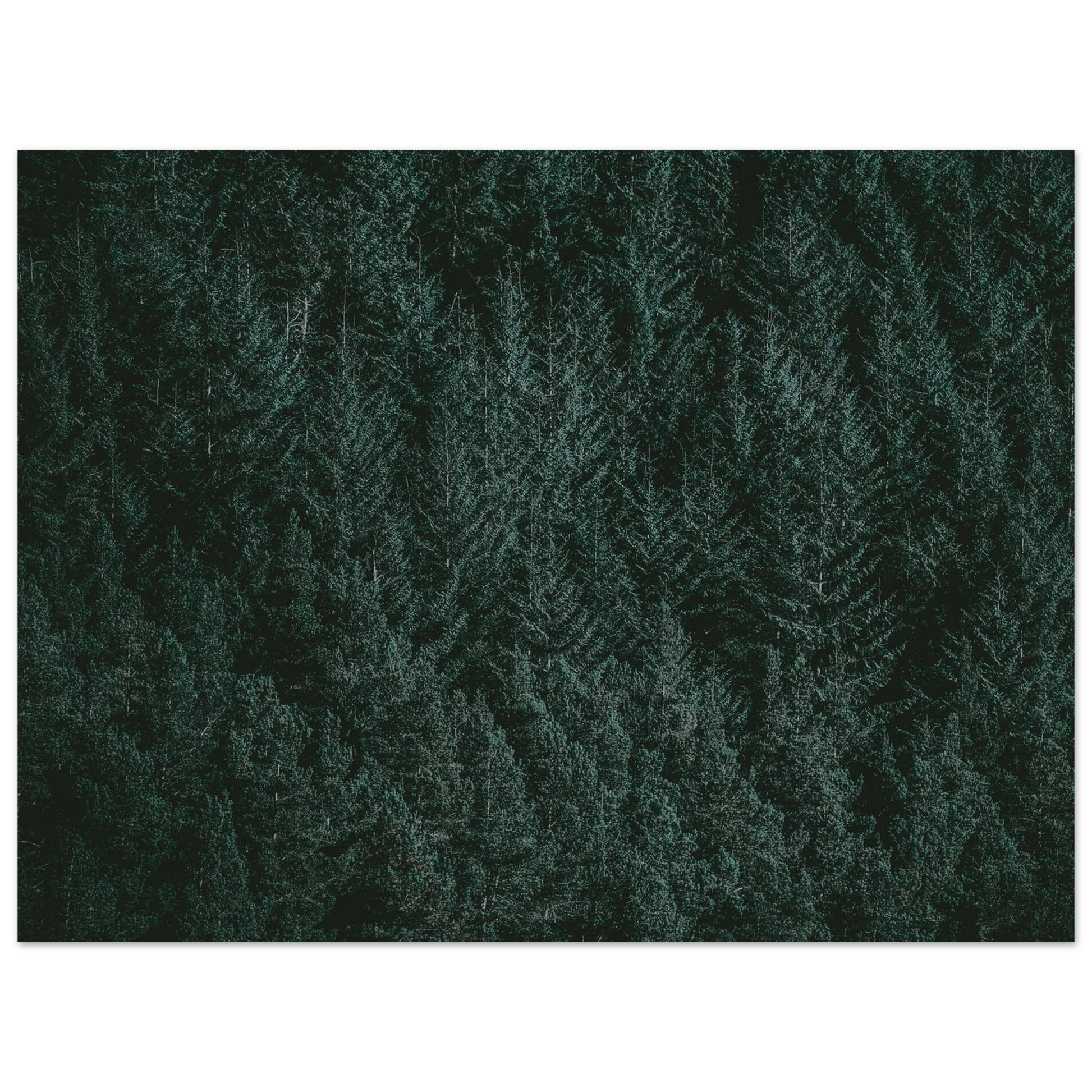 ff2d9e45-3d56-4f60-b837-bc536f0a2f98