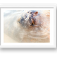 461 — framed