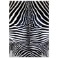 ffff3a26-d5b0-47eb-b729-68d103a14bb7