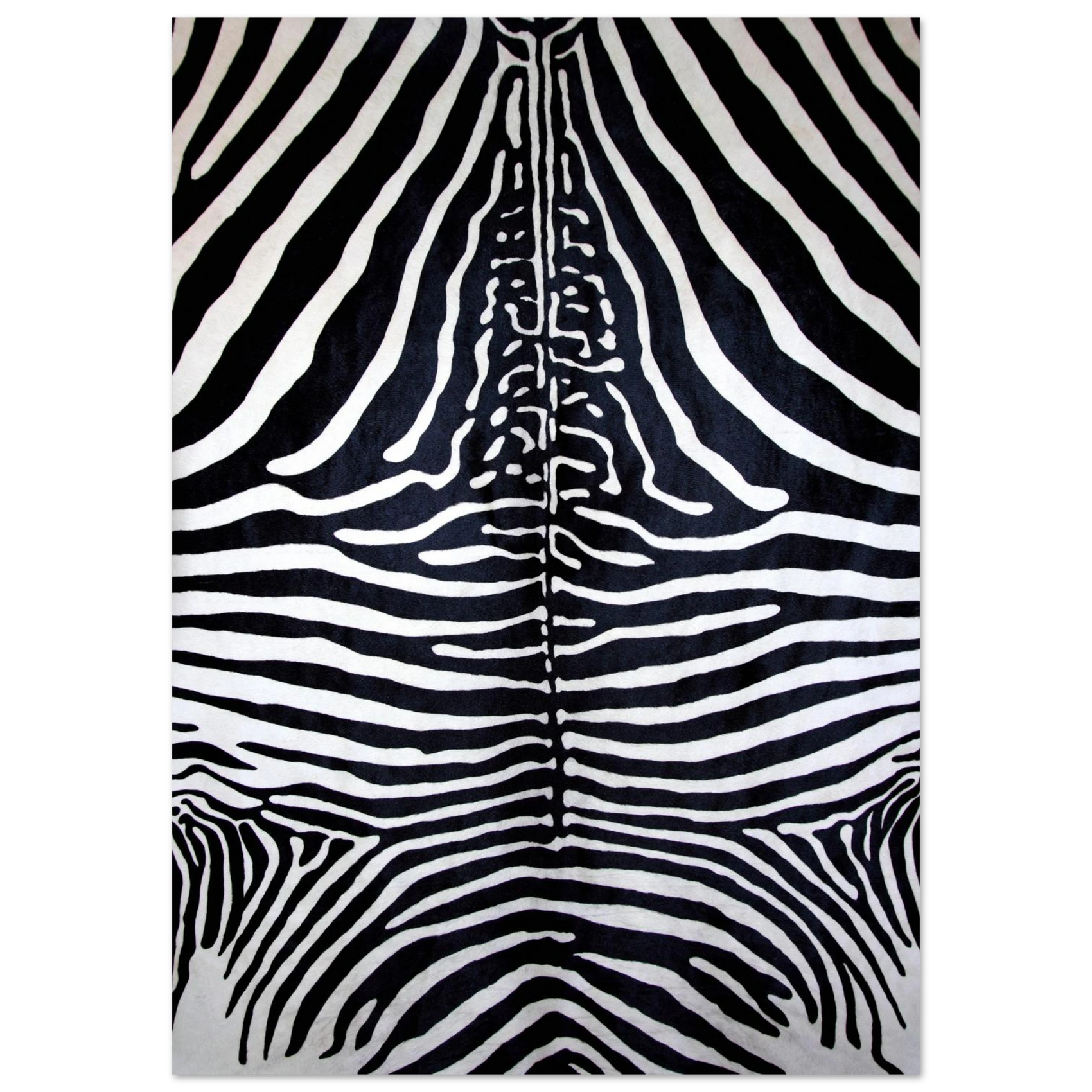Zebra Stripe Art Print - Premium Semi-Glossy Poster in Various Sizes