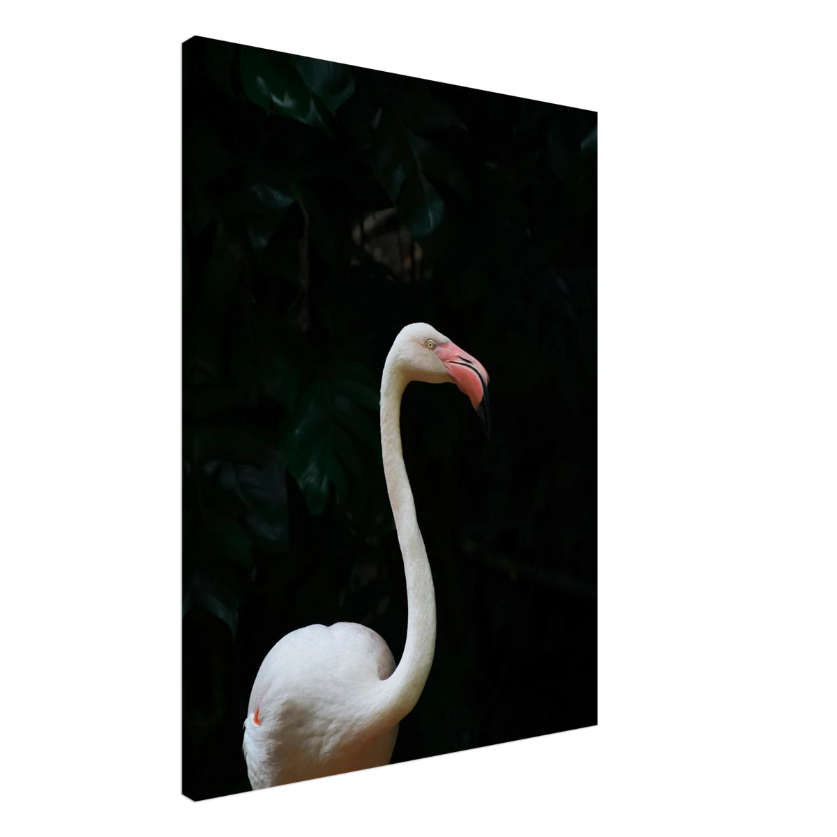 Flamingo Wall Art Tropical Bird Wildlife Artwork Canvas Print For Curated Home Interiors #PD_789 – product image 2