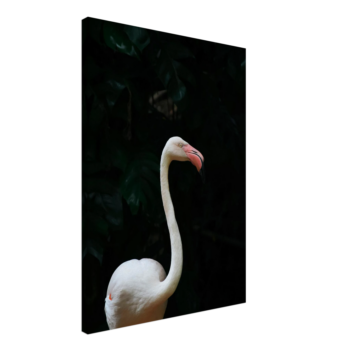 Flamingo Wall Art Tropical Bird Wildlife Artwork Canvas Print For Curated Home Interiors #PD_789 – product image 3