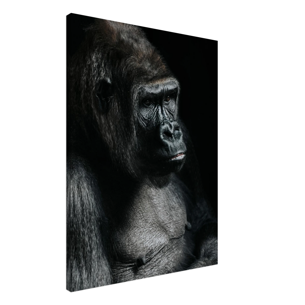 Gorilla Wall Art Canvas Print Decorative Artwork For Stylish Contemporary Home Interiors #PD_816 – product image 2
