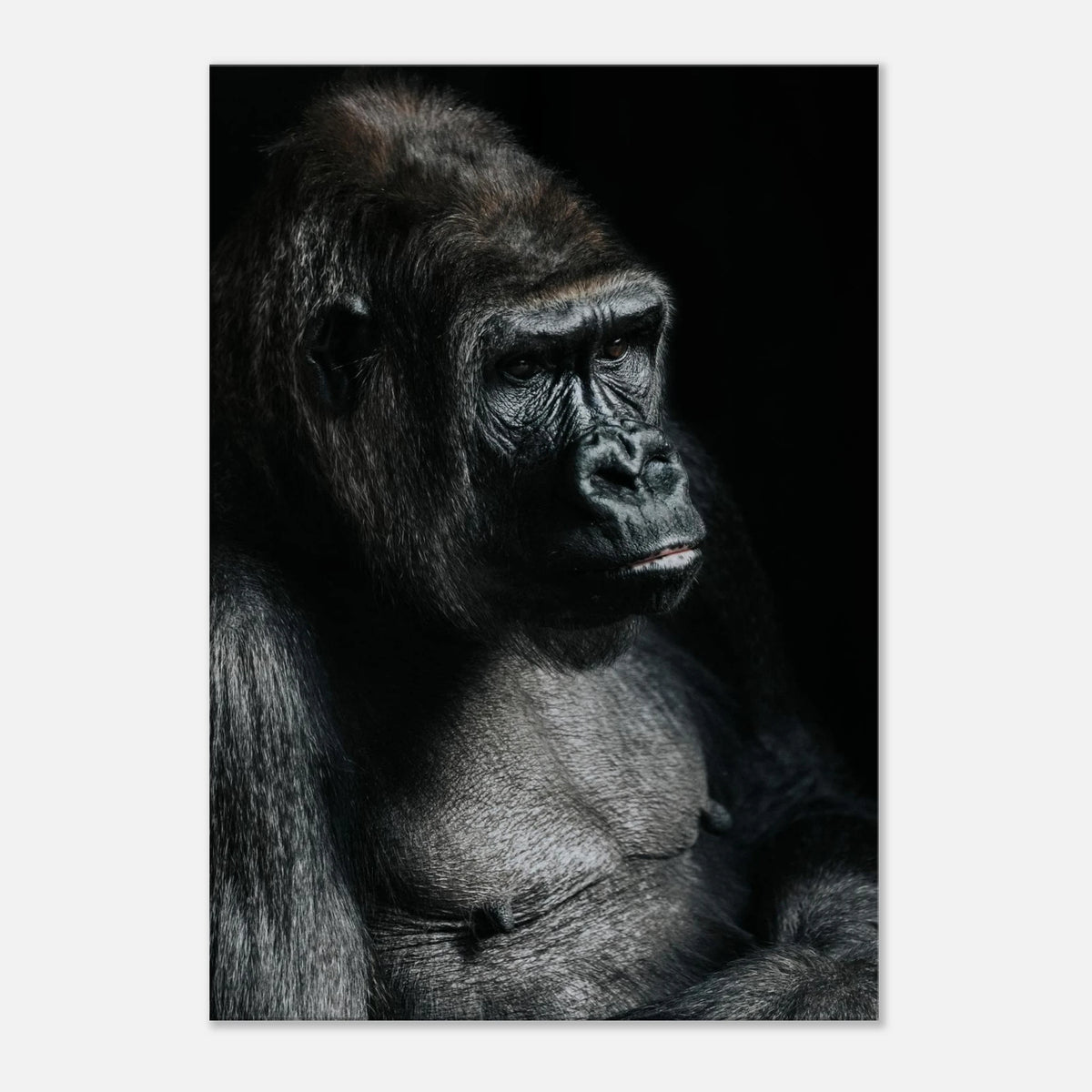 Gorilla Wall Art Canvas Print Decorative Artwork For Stylish Contemporary Home Interiors #PD_816 – product image 6