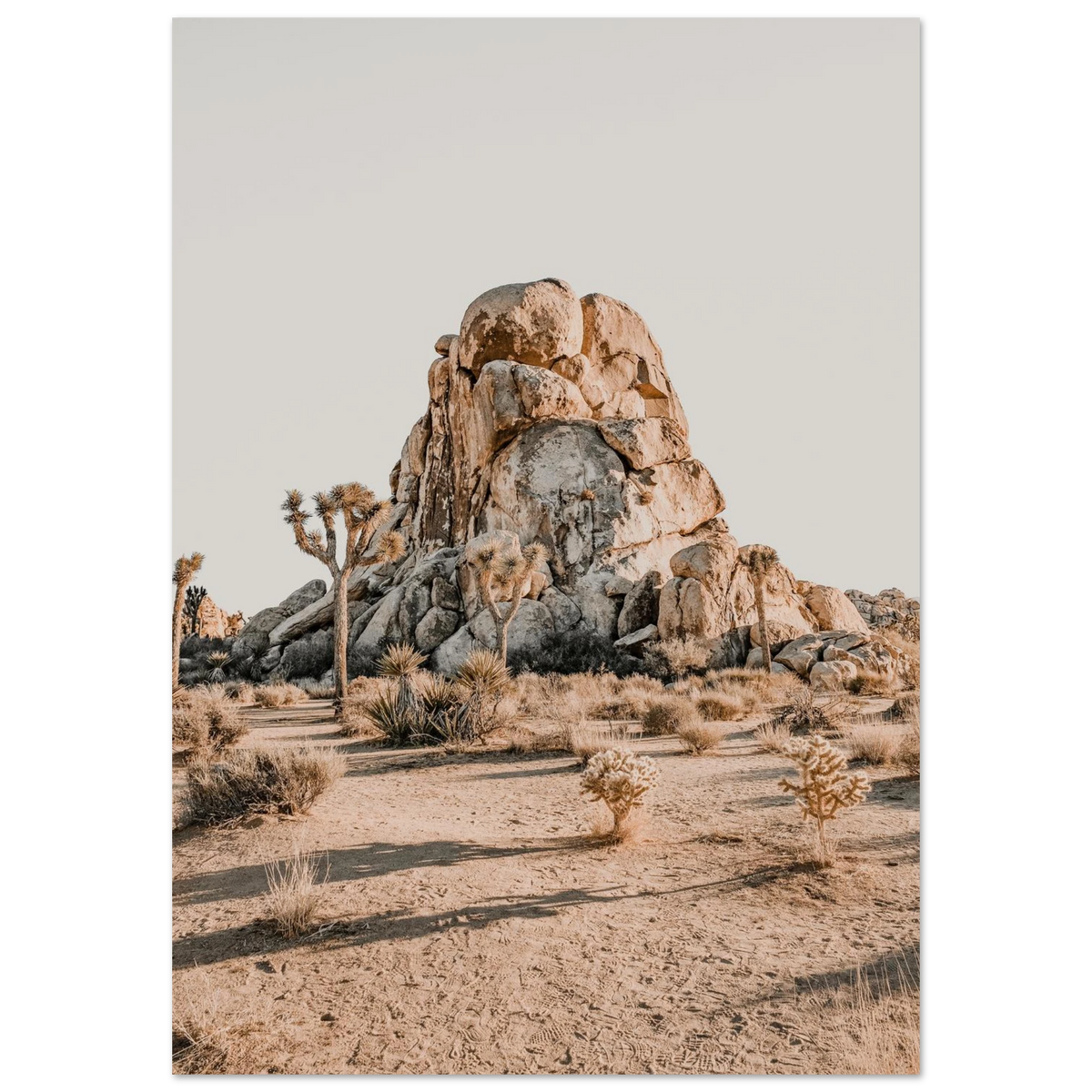 Joshua Tree Wall Art Poster Print California Desert Landscape National Park Decor #PD_901