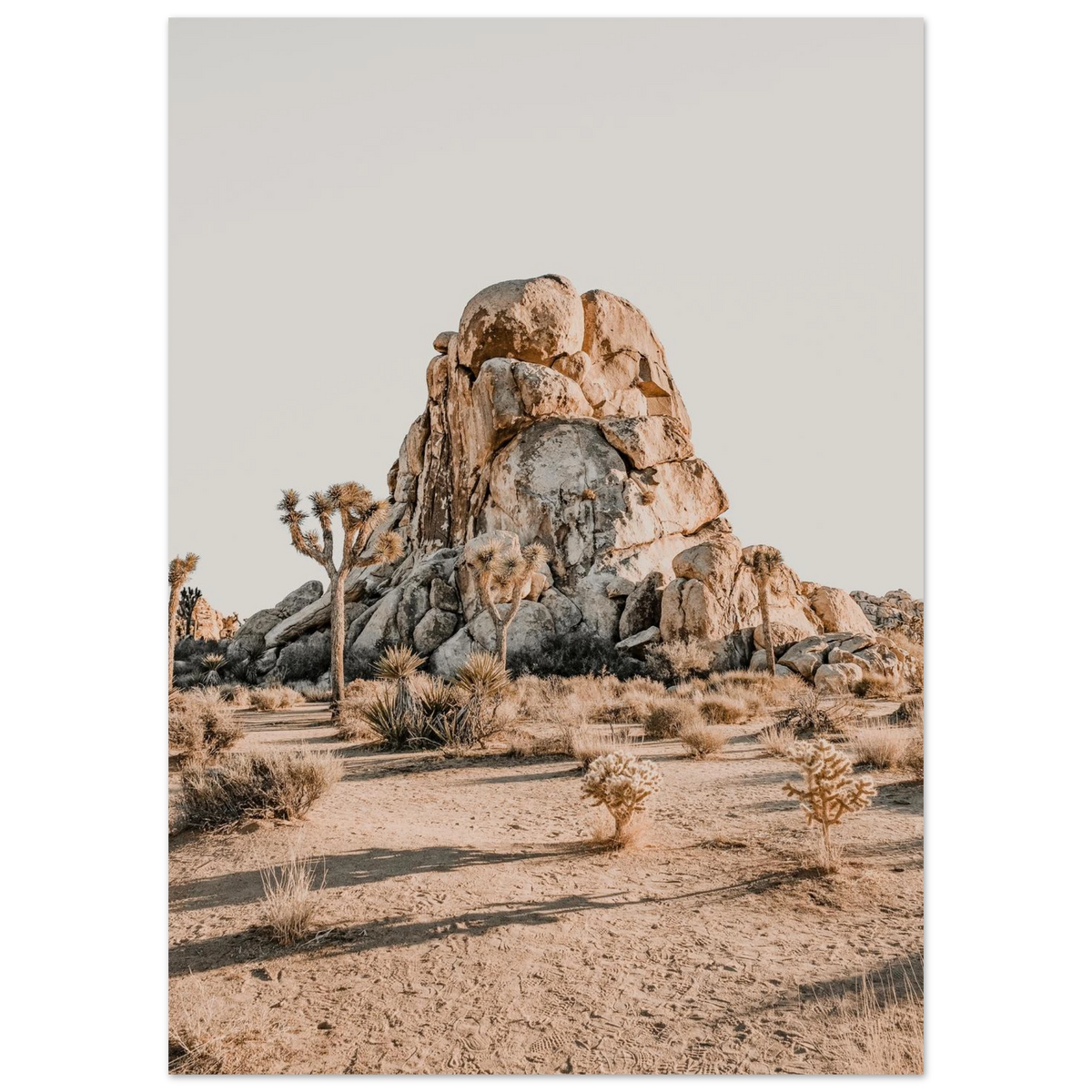 Joshua Tree Wall Art Poster Print California Desert Landscape National Park Decor #PD_901 – product image 4