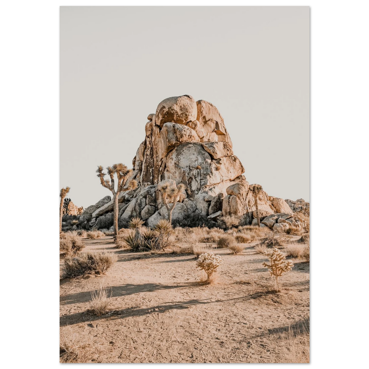 Joshua Tree Wall Art Poster Print California Desert Landscape National Park Decor #PD_901 – product image 8