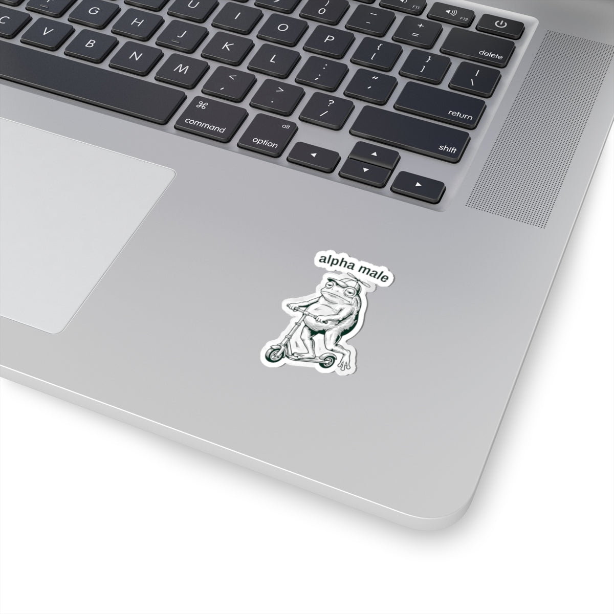 Funny Frog Sticker Gift For Dad Alpha Male Meme Decal Gift For Male Friend Cute Frog on Scooter – product image 11