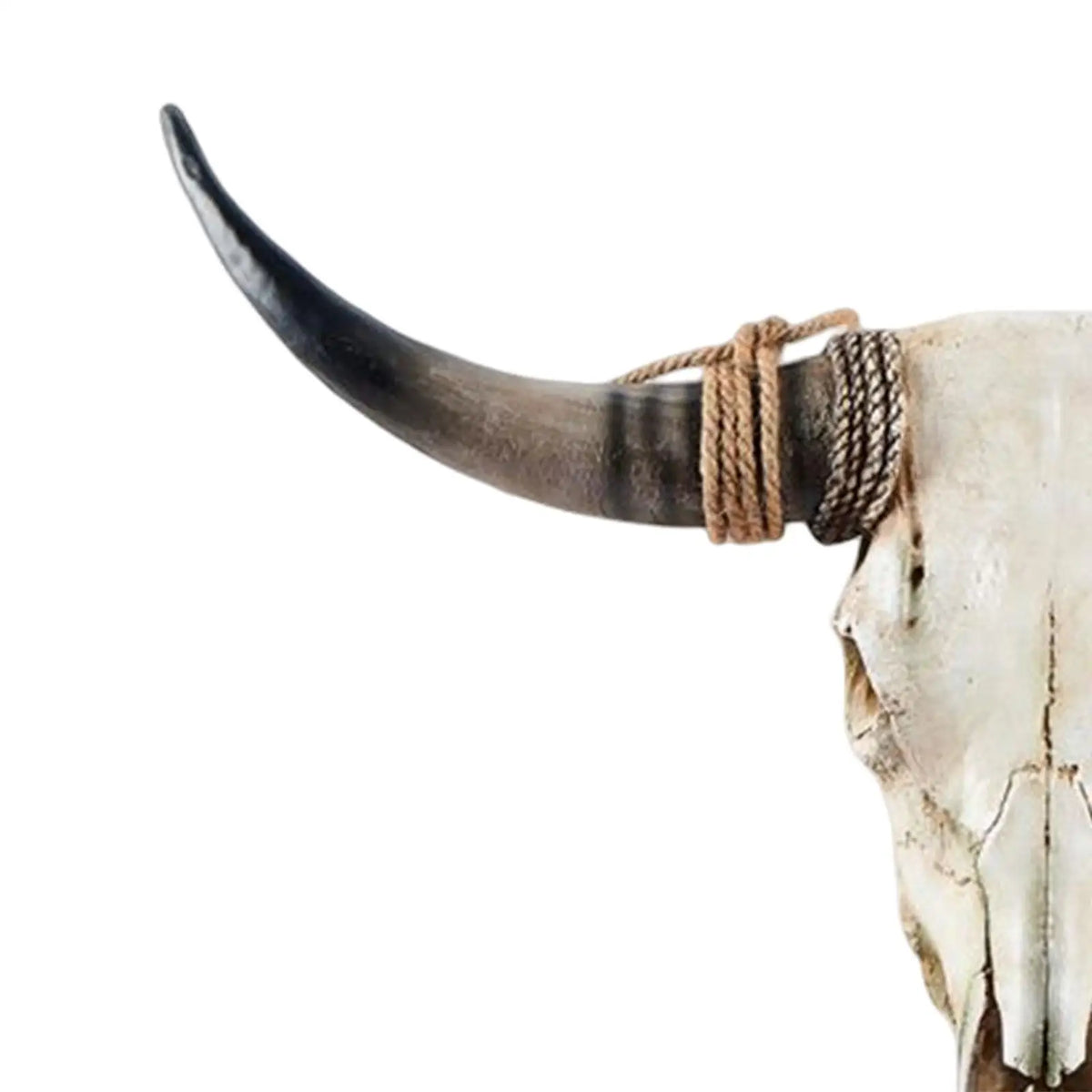 Resin longhorn animal head western wall decor
