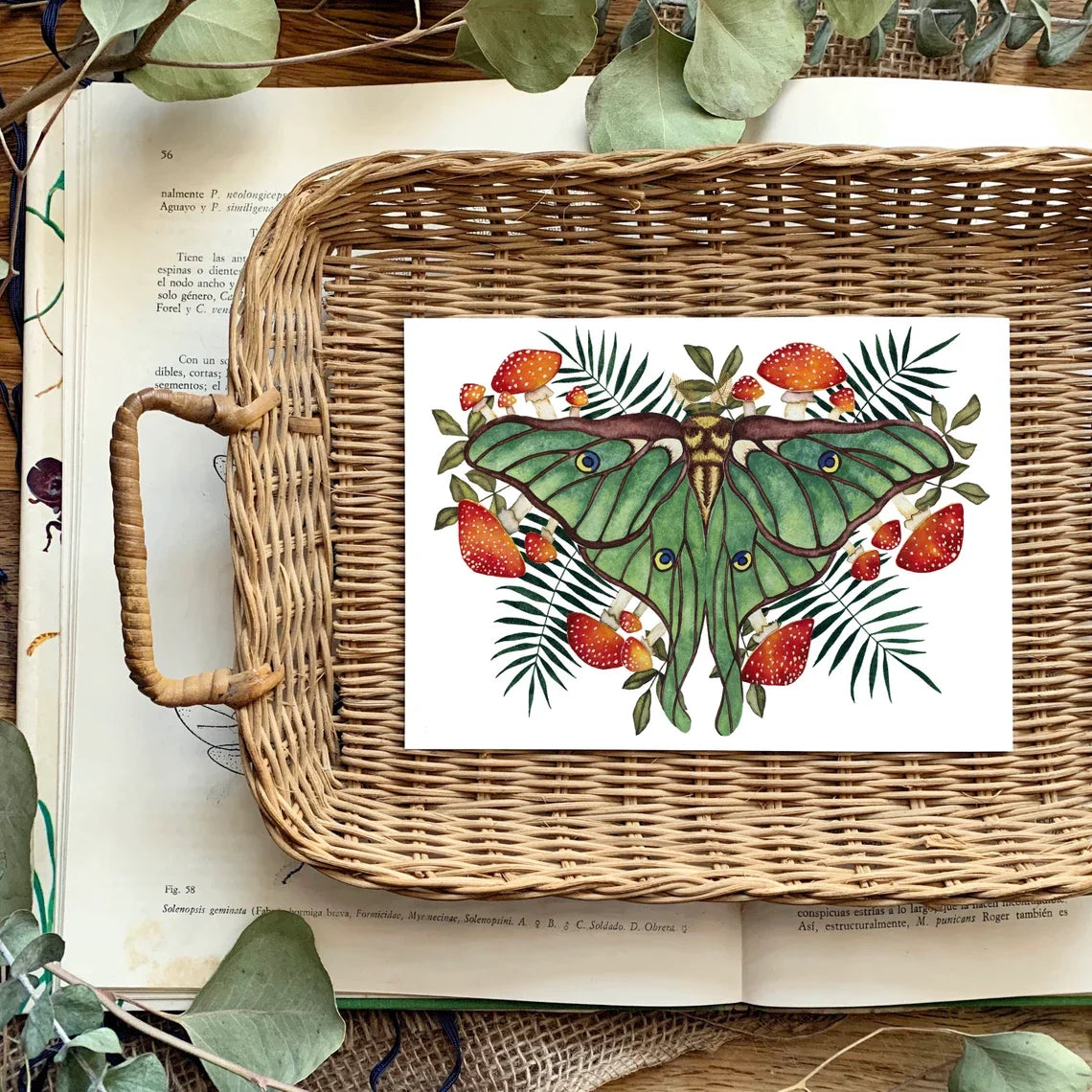 Mushroom Moth Wall Art Botanical Nature Print alternate detail or room view