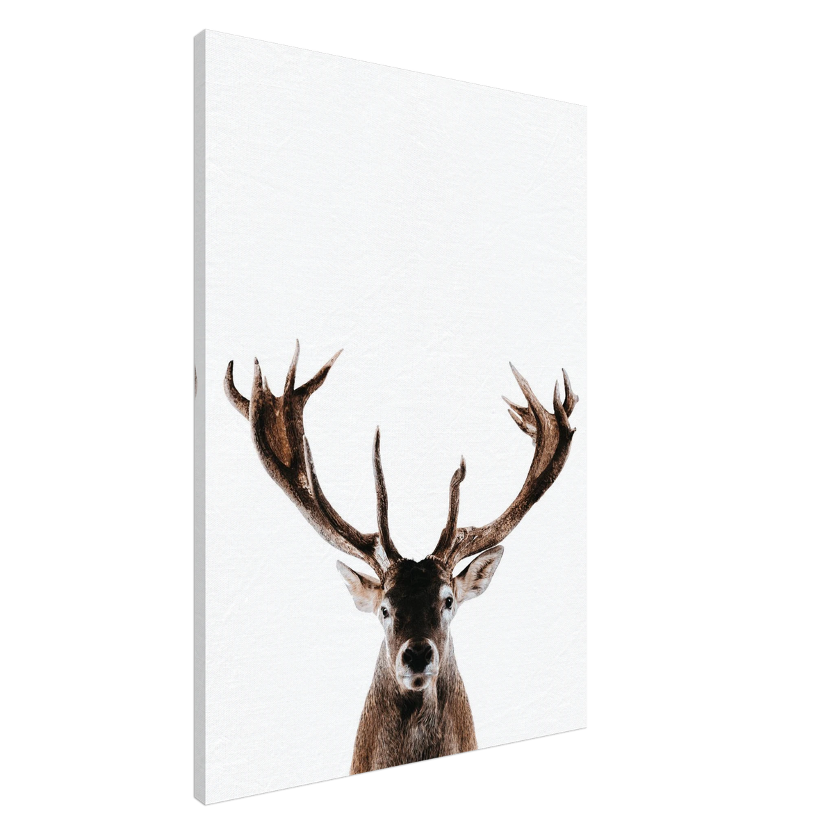 Stag Wall Art Canvas Print For Wildlife Home Decor Majestic Deer Portrait Artwork For Rustic Lodge