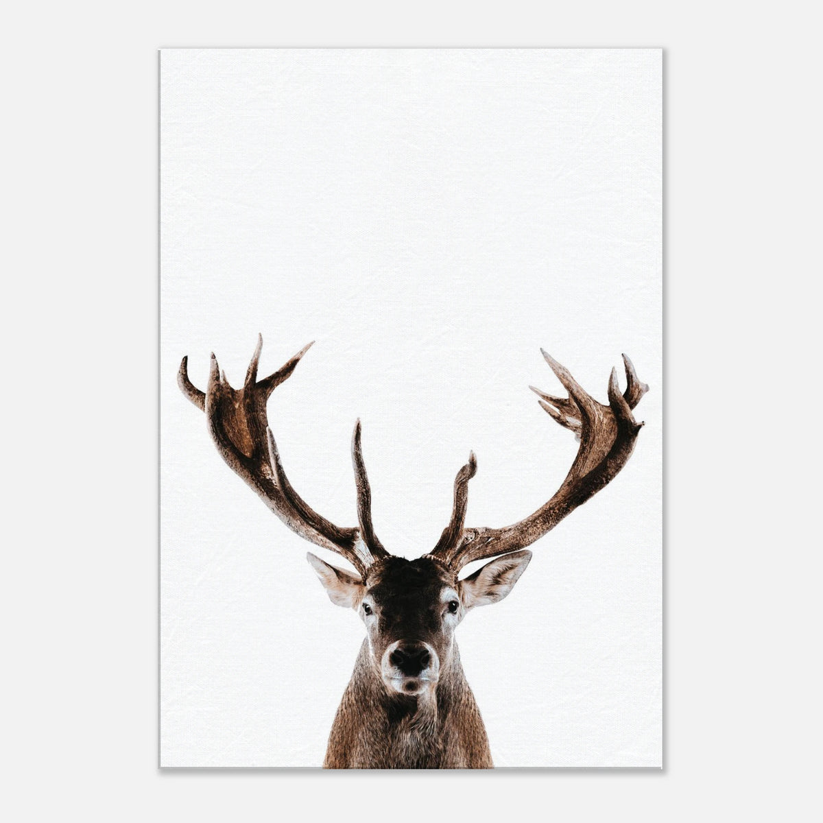 Stag Wall Art Canvas Print For Wildlife Home Decor Majestic Deer Portrait Artwork For Rustic Lodge – product image 6