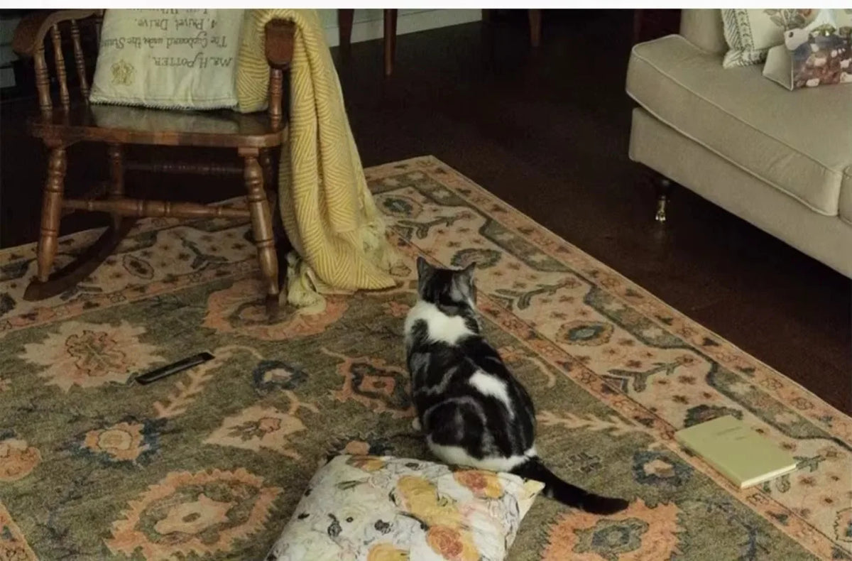 vintage pattern french inspired area rug product view 6